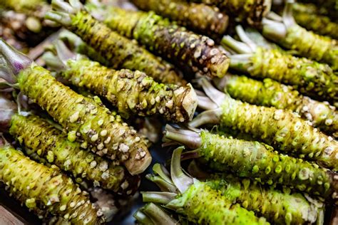 wasabi plant.